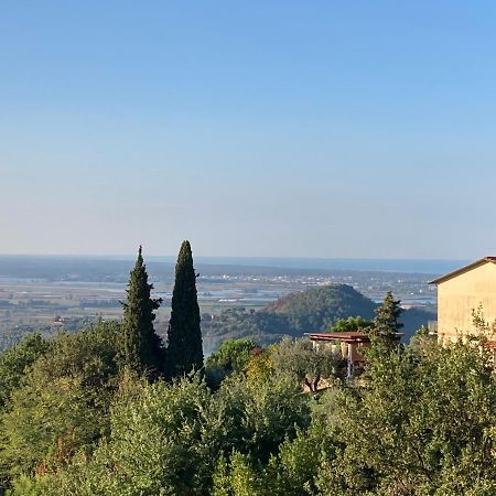 La Casina Delle Rondini Casa de hóspedes Corsanico-Bargecchia Exterior foto