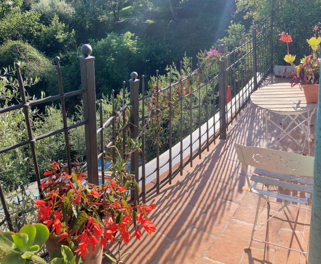 La Casina Delle Rondini Casa de hóspedes Corsanico-Bargecchia Exterior foto
