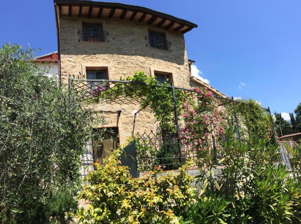 La Casina Delle Rondini Casa de hóspedes Corsanico-Bargecchia Exterior foto