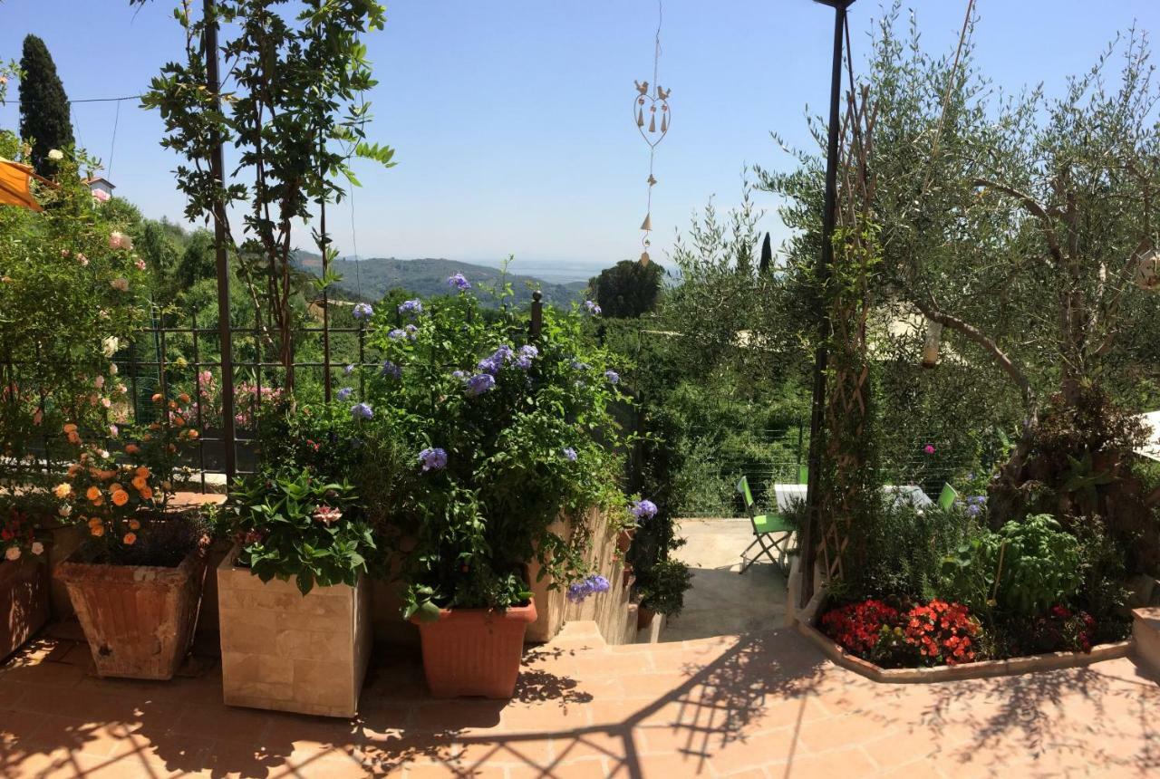 La Casina Delle Rondini Casa de hóspedes Corsanico-Bargecchia Exterior foto