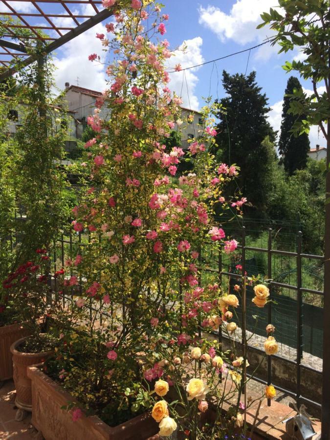 La Casina Delle Rondini Casa de hóspedes Corsanico-Bargecchia Exterior foto