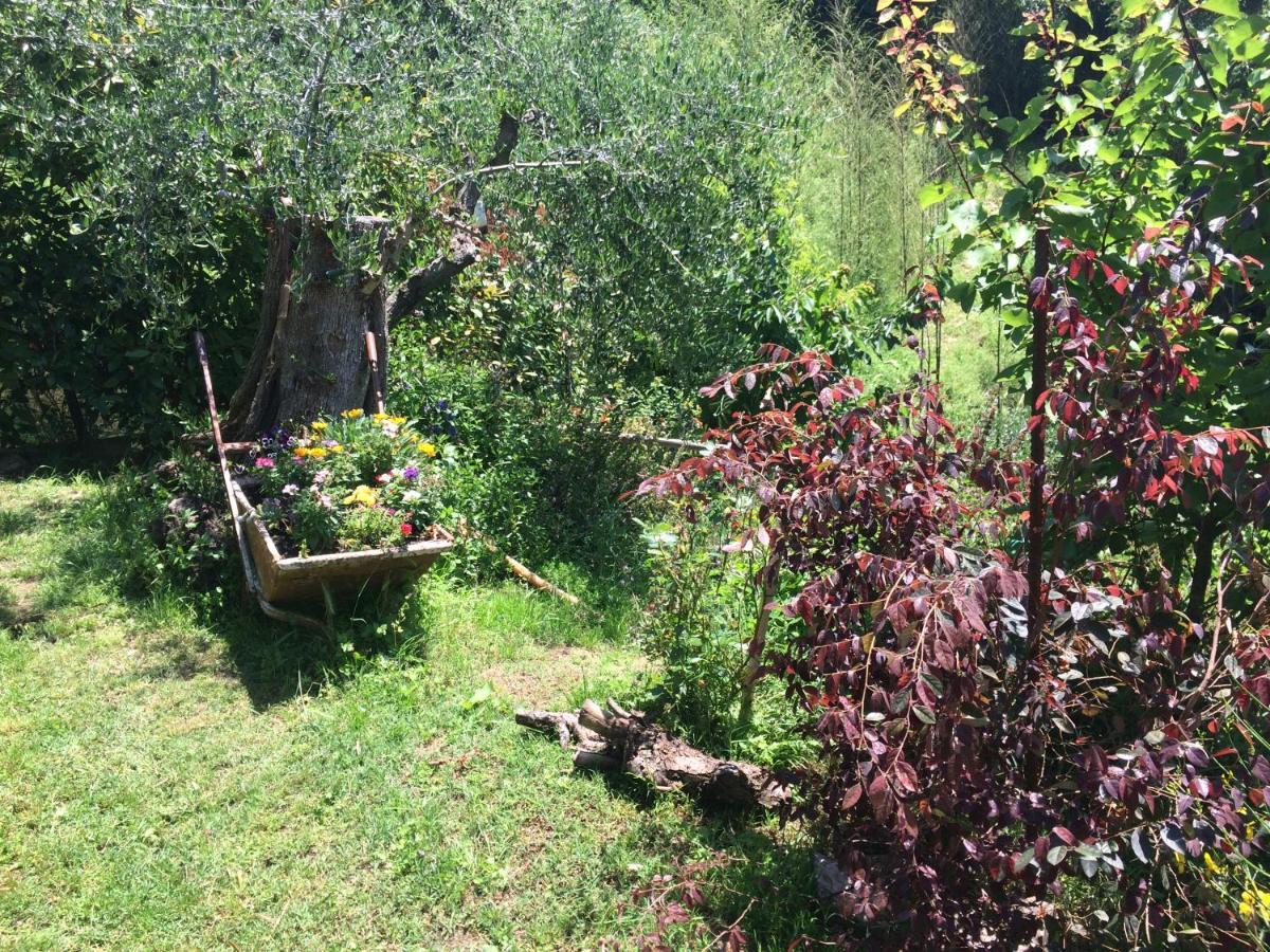 La Casina Delle Rondini Casa de hóspedes Corsanico-Bargecchia Exterior foto